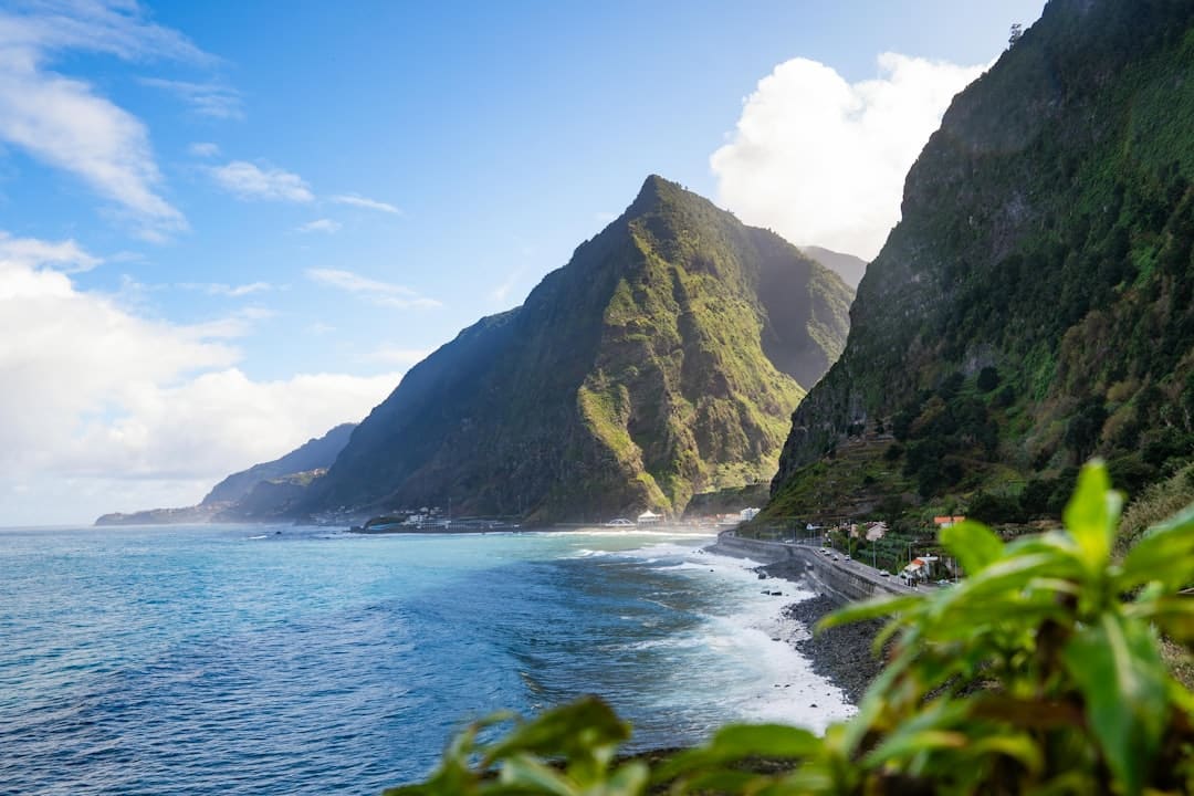 暑期“旅行专列”，让远方有景更有诗意